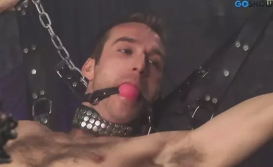 Shake Off the Ashes and Slide It Down His Throat